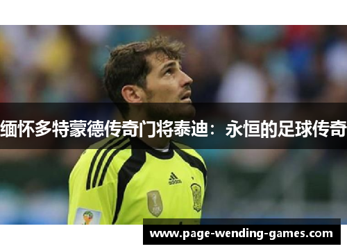 缅怀多特蒙德传奇门将泰迪：永恒的足球传奇