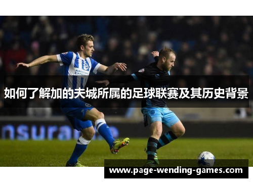 如何了解加的夫城所属的足球联赛及其历史背景