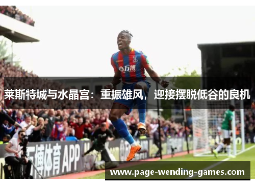 莱斯特城与水晶宫:重振雄风,迎接摆脱低谷的良机 莱斯特城与水晶宫:重振雄风,迎接摆脱低谷的良机