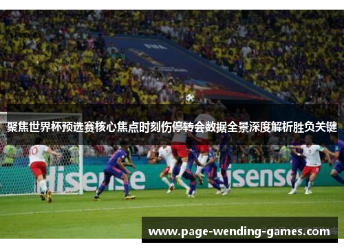 聚焦世界杯预选赛核心焦点时刻伤停转会数据全景深度解析胜负关键 聚焦世界杯预选赛核心焦点时刻伤停转会数据全景深度解析胜负关键